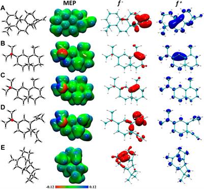 The essential oil from Drimys winteri possess activity: Antioxidant, theoretical chemistry reactivity, antimicrobial, antiproliferative and chemical composition